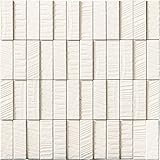 エコカラットプラス ラフソーン■25×75角ネット張り Sシリーズ LIXIL (ホワイト)