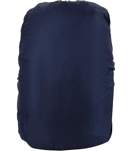 Amazon.co.jp: OSPREY(オスプレー) イーサープラス60 L-XL エクリプス
