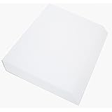 合成紙 ユポ紙 A4 10枚 約0.25mm/枚 フリーカット可