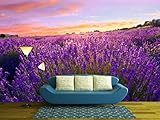 wall26 Wall Muralシリーズ 自己接着式壁紙 大型 66"x96" WMR-WP-X-C642-66x24x4