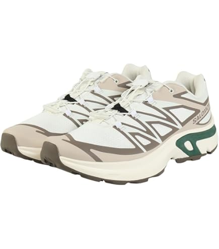 Amazon.co.jp: サロモン（SALOMON） カジュアルシューズ XT-EVR GTX