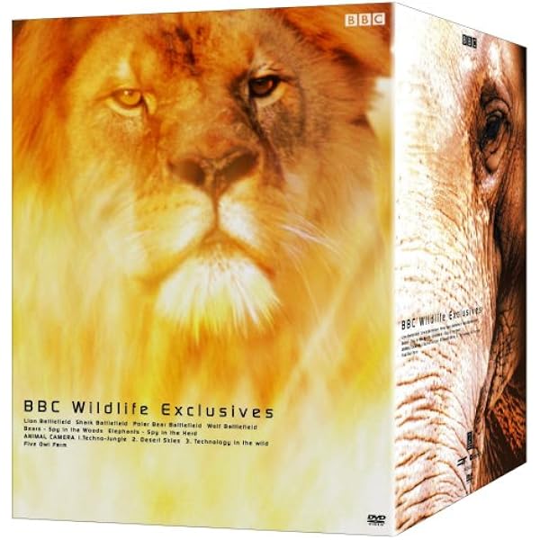 Amazon.co.jp: ワイルドライフ DVD-BOXI : DVD