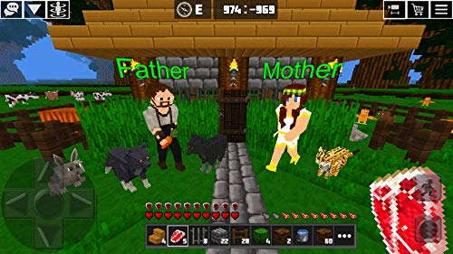 Amazon Co Jp マルチクラフト ミニブロッククラフトサバイバル