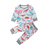 恐竜パターン 長袖Tシャツトップ 女の子 男の子 ラウンドネック 多色 カジュアルトップ ロングパンツ 子供服 秋服 冬服 70 80 90 100 110 6〜24ヶ月1-2.5歳 (1-1.5歳,