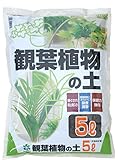 自然応用科学 Dシリーズ 観葉植物の土 5L