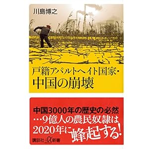 戸籍アパルトヘイト国家・中国の崩壊 (講談社+α新書)