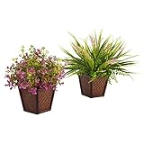 Assorted Grass with Planter - Set of 2