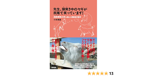 先生 頭突き中のヤギが尻尾で笑っています 鳥取環境大学の森の人間動物行動学 小林 朋道 本 通販 Amazon