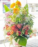 アレンジメントフラワー 生花 ギフト 6Lサイズ イメージ(明るい)大臣賞受賞デザイナー おまかせアレンジメント