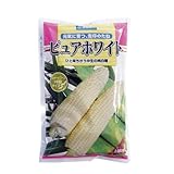 とうもろこし 種 【 ピュアホワイト 】 種子 2000粒