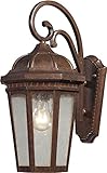 Elk 47031/1 8 by 17-Inch Fullerton 1-Light Glass Outdoor Wall Sconce, Hazelnut Bronze Finish [並行輸入品]
