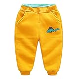 Hzjundasi 子供 赤ちゃん 厚い 冬/秋 コットン ズボン 弾性ウエスト レギンス Kids 男の子 女の子 暖かい プラスベルベット レジャー ロングパンツ