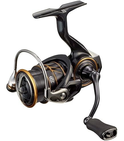 ダイワ 21カルディア　LT2500S　淡水　数回使用 DAIWA（釣り） 【目玉商品】ダイワ 21 カルディア FC LT2500S