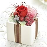 花花 プリザーブドフラワー ぷち 手のひらサイズ （ バラ フルーツ ） 枯れない お花 お祝い プチギフト プレゼント 【 メッセージカード / ラッピング 無料 】( ラズベリー )