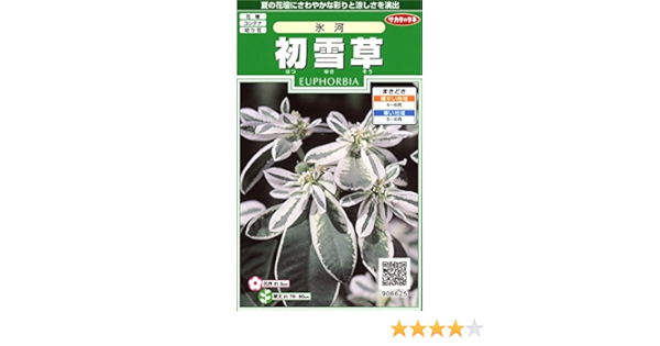 Amazon サカタのタネ 実咲花6625 初雪草 氷河 花