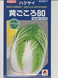 黄ごころ８０　  タキイ種苗の白菜種です