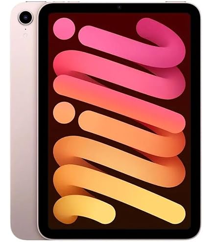 iPad Mini 5 64GB WiFi (Renewed) : Amazon.com.au: Computers