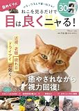 日めくり式 ねこを見るだけで目は良くニャる! (TJMOOK)