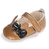 サクララ（Sakulala) 赤ちゃん 靴 お姫様 女の子 ファーストシューズ ドレスシューズ リポン柄 やわらかい プリンセス 歩行練習 履き心地いい 出産お祝いプレゼント ギフト