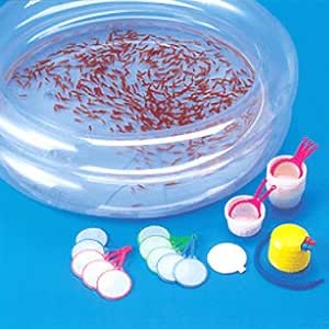 Amazon 簡単金魚すくいセット 金魚すくいセット 金魚500匹 縁日用品 おもちゃ