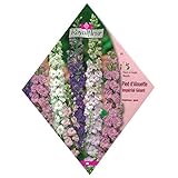 【ノーブランド品】[寒地2～5月/暖地9～11月まき 花タネ]ラークスパー インペリアル ミックス 1袋