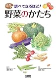 調べてなるほど! 野菜のかたち (絵で見るシリーズ)