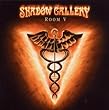 Room V by Shadow Gallery (2010-04-06)【並行輸入品】