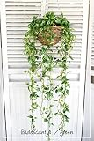 トラディスカンティアハンギング＊グリーン　造花 人工観葉植物 フェイクグリーン 消臭＊CT触媒