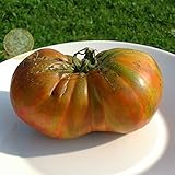 野菜トマトBERKLEY TIE DYE 100家宝オーガニック種子KK194