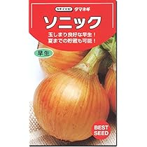 ソニック800本、ネオアース800本、赤玉各800本 ソニック800本、ネオアース800本、赤玉各800本 早生たまねぎ苗