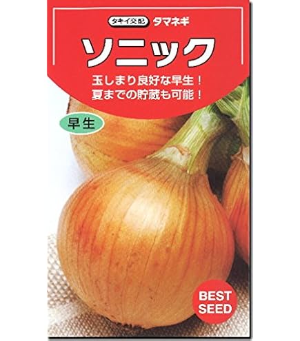玉ねぎ苗　ソニック たまねぎ ソニック 4.5ml(約520粒) タキイ種苗（株） DF : グリーン