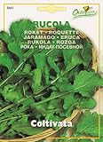 【HORTUS社種子】【Art.5661】ルッコラ
