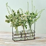 切り花 花材 飾って楽しむ「ヴェールプレーリー」(フラワーベース付き) 日比谷花壇