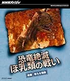 NHK�X�y�V���� ������� �ٓ��ނ̐킢 �O��