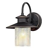 Westinghouse 6313400 Delmont One-Light Outdoor Wall Fixture with with Clear Textured Glass, Oil Rubb