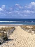 ケープFerret、Basin D 'arcachon、Girondeアキテーヌ、フランス、ストレッチキャンバスプリントby Doug Pearson 30 x 40 in AP3460086_PC4