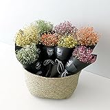 【Blooming＆me】フラワーデザイナーおすすめ！ ドライフラワー かすみ草 モダンなミニ花束 【選べるカラー全3色】 (ホワイト)