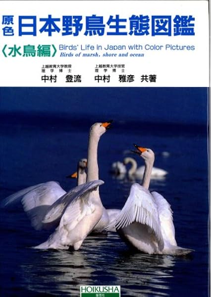 原色日本野鳥生態図鑑 水鳥編 登流 中村 雅彦 中村 本 通販 Amazon