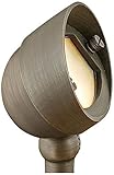 Hinkley Landscape 16571MZ-LED Landscape Spot Light [並行輸入品]