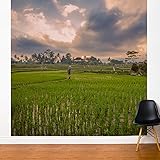 Adzif FR118-DAJV5バリ島田んぼ - 8×8フィート