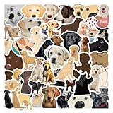 ラブラドール・レトリバー ラブ 狩猟犬 犬 番犬 ワンちゃん 動物病院 ペットショップ シール ステッカー (60枚HYA)