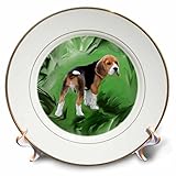 CP _ 3978犬ビーグル – ビーグル子犬 – プレート 8 inch Porcelain Plate cp_3978_1