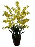 アートフラワー造花・オンシジューム光触媒品