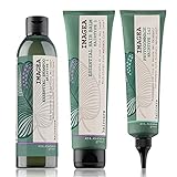 eLGON (エルゴン) イマジェア エッセンシャル シャンプー 【オイリーヘア】オーガニックスーパーフード 250ml + ヘアバーム 150ml + フィトゴマージュ 150ml お得なセット