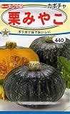 トーホク カボチャ 栗みやこ