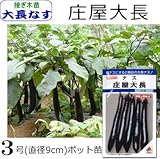 接ぎ木 なす 苗 庄屋大長 茄子