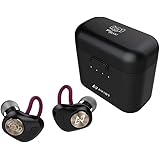 ピエール中野 × AVIOT TE-D01d-pnk 完全ワイヤレスイヤホン ピヤホン Bluetooth イヤホン マイク付き 防水 IPX4 ノイズキャンセリング AAC SBC aptX