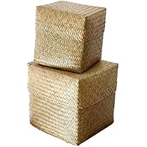 51iYBEq-91L._AC_UL210_SR210,