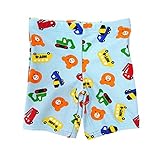 ミキハウスホットビスケッツ(MIKIHOUSE HOTBISCUITS) 水着 男の子用 120cm・ブルー（15）