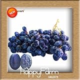 Best-Selling100 PCS/Pack 12 Kinds of Grape Seeds Advanced Fruit Seed Natural Growth Grape Sweet Kyoh